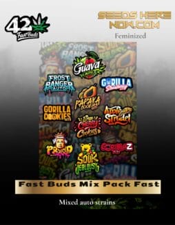 Fast Buds Mix Pack Fast (Feminized) (space) Fast Buds