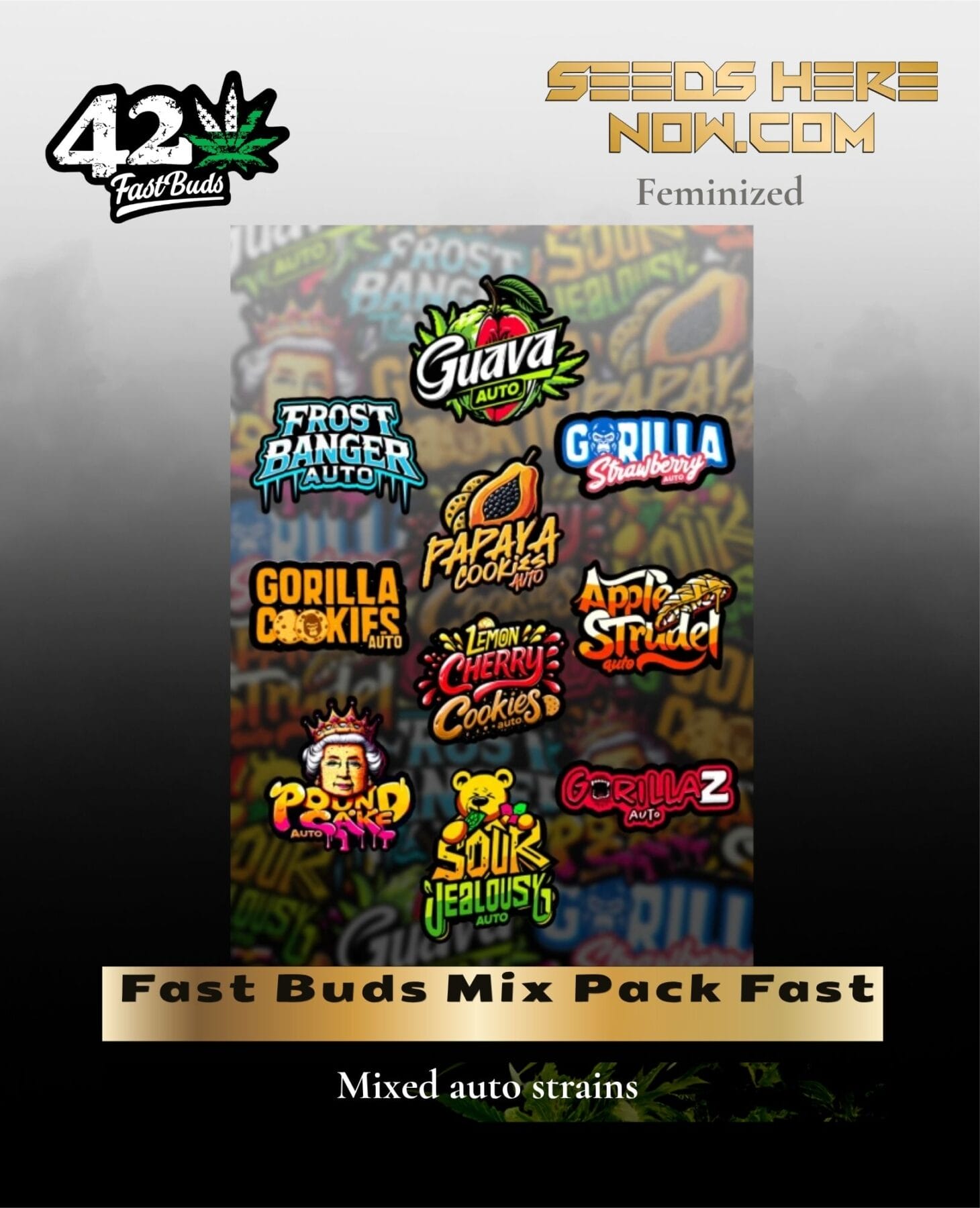 Fast Buds Mix Pack Fast (Feminized) - Fast Buds