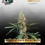Original Jack Herer Auto (Feminized) - Fast Buds