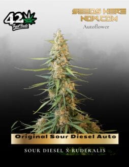 Original Sour Diesel Auto (Feminized) (space) Fast Buds