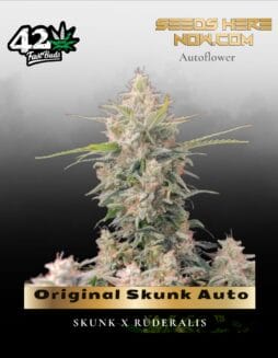 Original Skunk Auto (Feminized) (space) Fast Buds