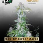 Six Shooter Auto (Feminized) - Fast Buds