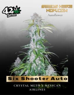 Six Shooter Auto (Feminized) (space) Fast Buds