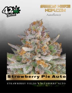 Strawberry Pie Auto (Feminized) (space) Fast Buds