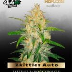 Zkittlez Auto (Feminized) - Fast Buds