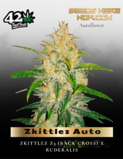 Zkittlez Auto (Feminized) (space) Fast Buds