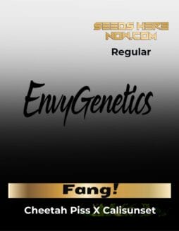 Fang (Regular) (space) Envy Genetics
