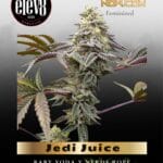 Baby Yoda x Nerds Rope (Jedi Juice) (Feminized) - Elev8 Seeds