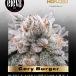 Gary Burger (Feminized) - Elev8 Seeds