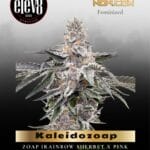Kaleidozoap (Feminized) - Elev8 Seeds