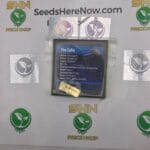 The Cube (Regular) – Exotic Genetix | Vault Release