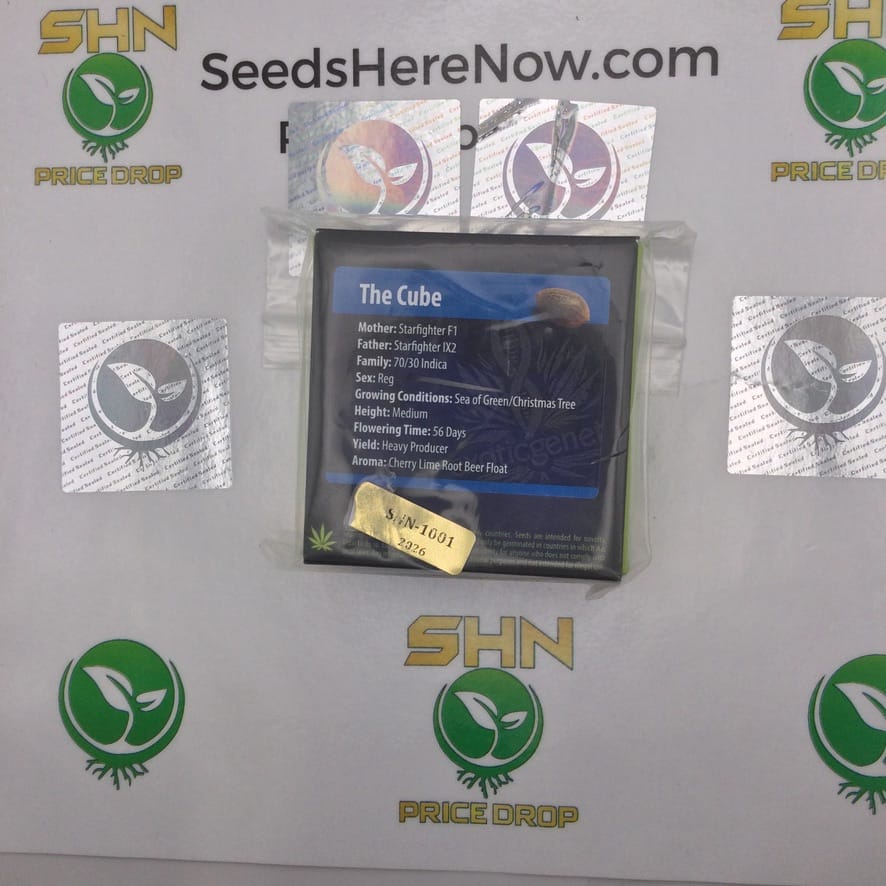 The Cube (Regular) – Exotic Genetix | Vault Release