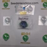 Predator Pink F2 (Regular) – Exotic Genetix | Vault Release