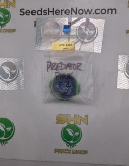 Predator Pink F2 (Regular) – Exotic Genetix | Vault Release