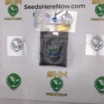 SnowMonster (Regular) – Exotic Genetix | Vault Release