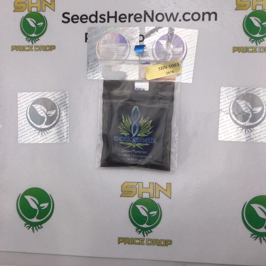 SnowMonster (Regular) – Exotic Genetix | Vault Release