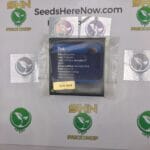 Pink (Regular) – Exotic Genetix | Vault Release