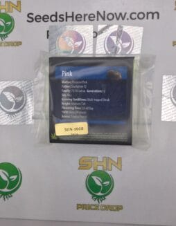 Pink (Regular) – Exotic Genetix | Vault Release