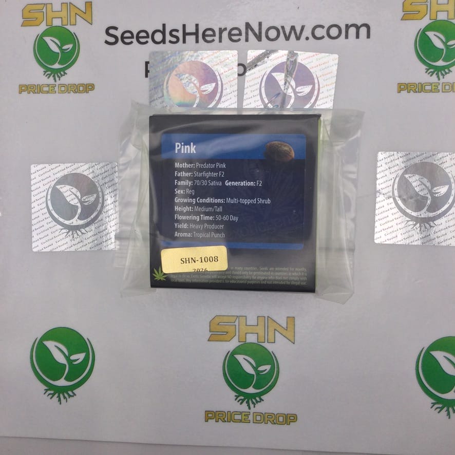 Pink (Regular) – Exotic Genetix | Vault Release