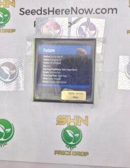 Future (Regular) – Exotic Genetix | Vault Release