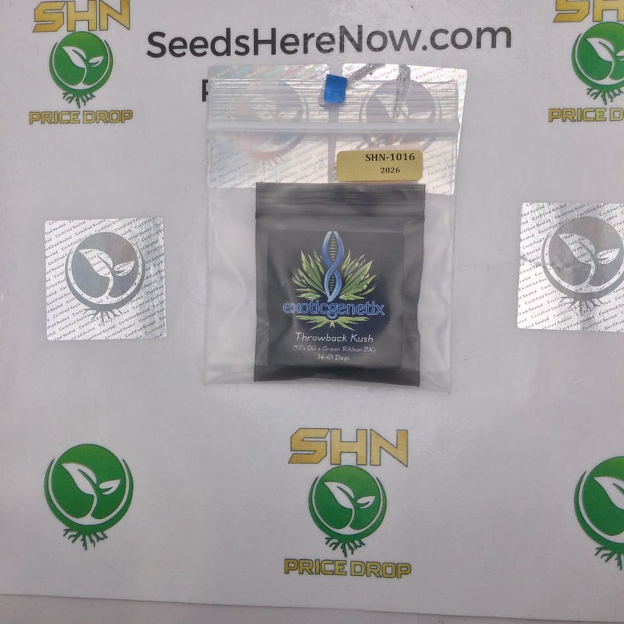 Thrownback Kush (Regular) – Exotic Genetix | Vault Release