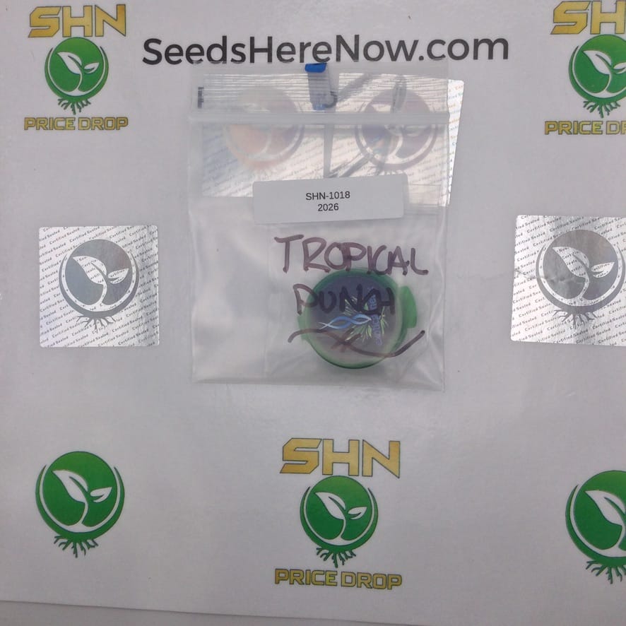 Tropical Punch – Exotic Genetix | Vault Release