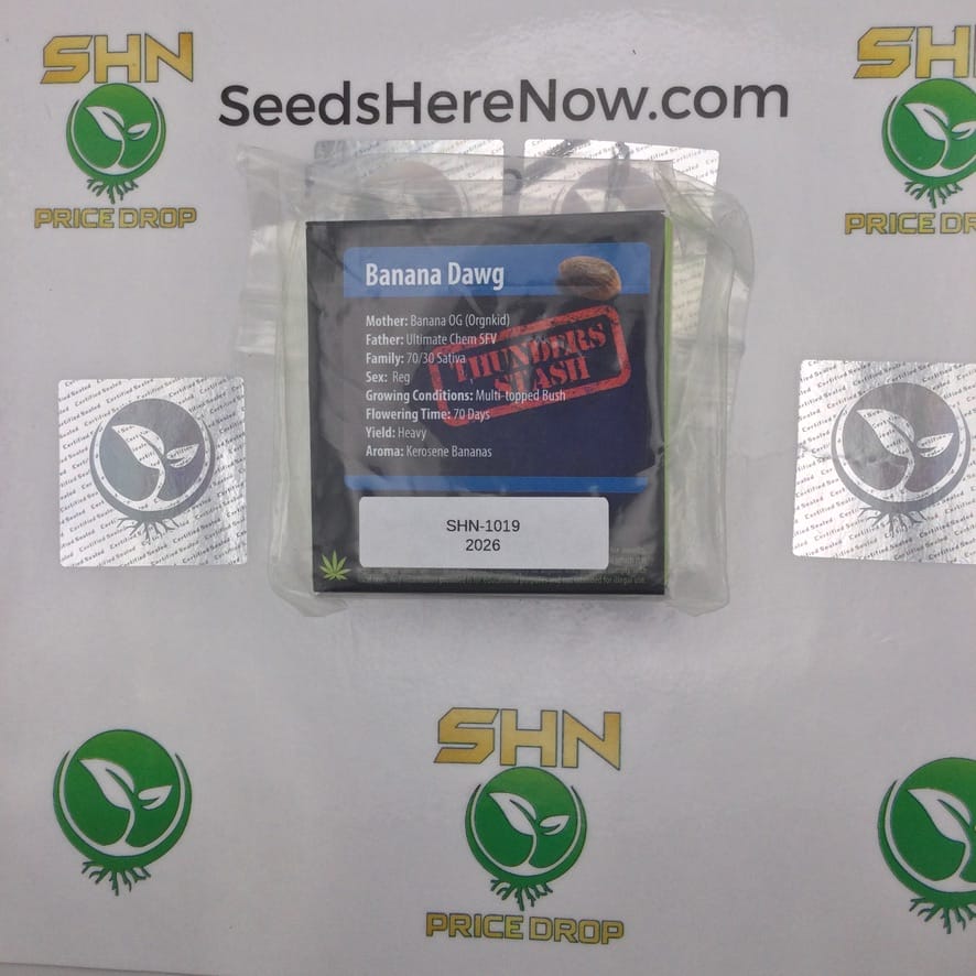 Banana Dawg (Regular) – Exotic Genetix | Vault Release