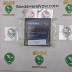 Green Ribbon (Regular) – Exotic Genetix | Vault Release