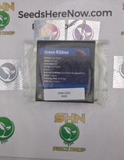 Green Ribbon (Regular) – Exotic Genetix | Vault Release