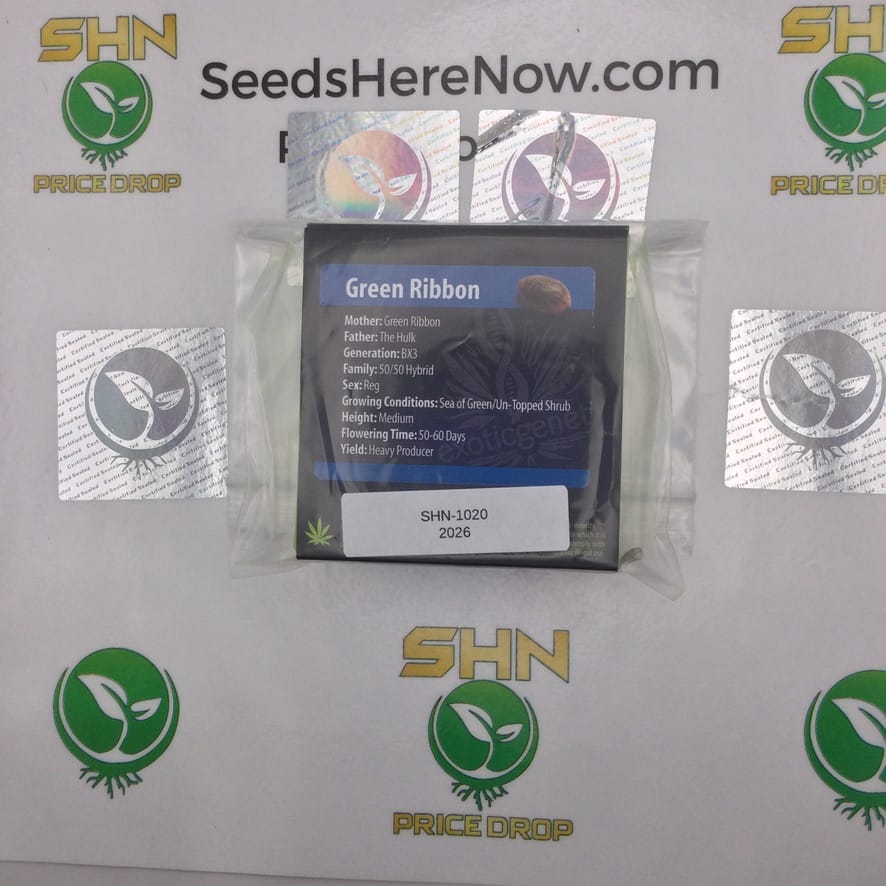 Green Ribbon (Regular) – Exotic Genetix | Vault Release