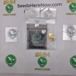 Cookies & Cream (Regular) – Exotic Genetix | Vault Release