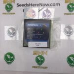 Buckin Runtz (Feminized) – Exotic Genetix | Vault Release