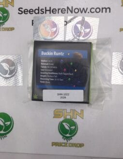 Buckin Runtz (Feminized) – Exotic Genetix | Vault Release