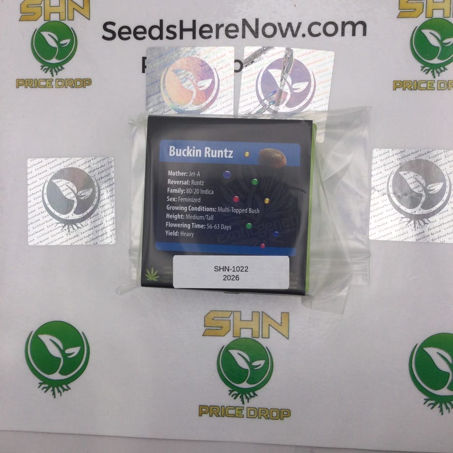 Buckin Runtz (Feminized) – Exotic Genetix | Vault Release