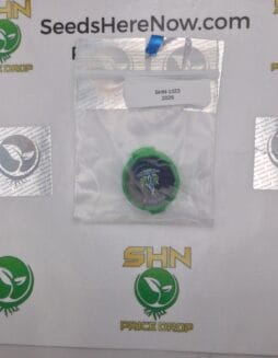 FLO(space)SEE (Feminized) – Exotic Genetix | Vault Release