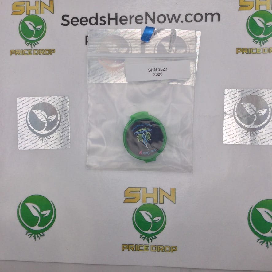 FLO-SEE (Feminized) – Exotic Genetix | Vault Release