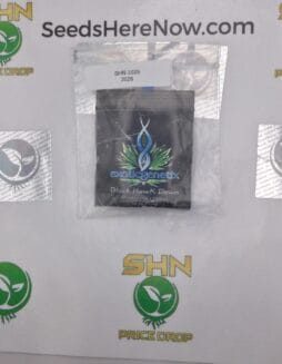 Black Hawk Down (Regular) – Exotic Genetix | Vault Release