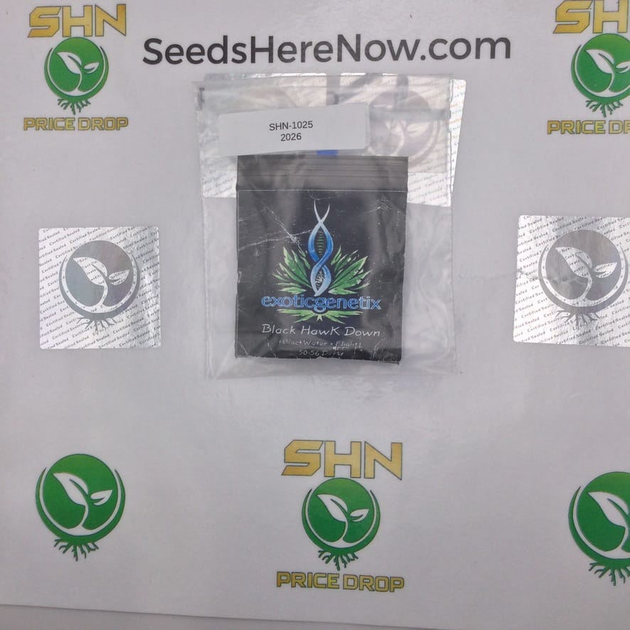 Black Hawk Down (Regular) – Exotic Genetix | Vault Release