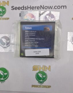 The Hulk (Regular) – Exotic Genetix | Vault Release