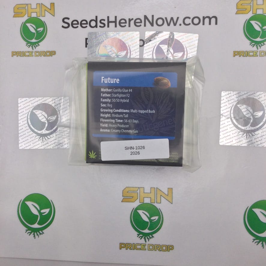 The Hulk (Regular) – Exotic Genetix | Vault Release