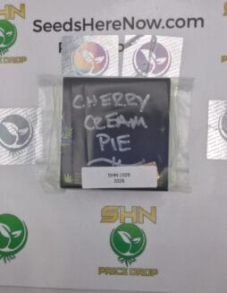 Cherry Chem Pie – Exotic Genetix | Vault Release