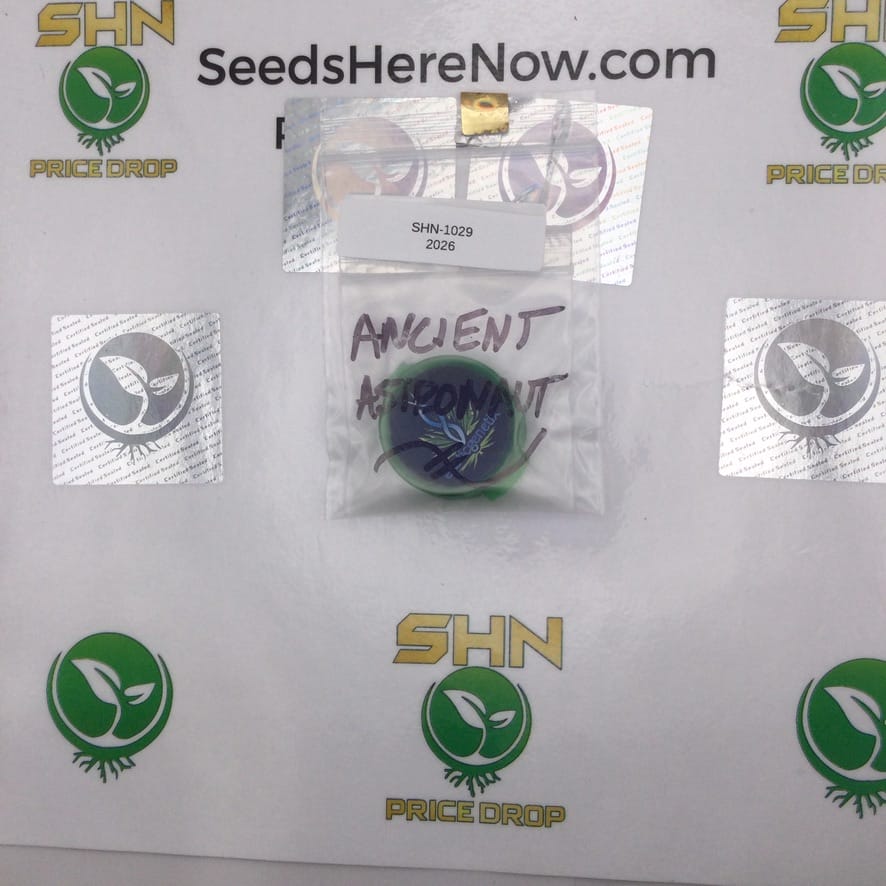 Ancient Asteronaut – Exotic Genetix | Vault Release