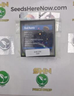 Red Runtz (Regular) – Exotic Genetix | Vault Release