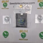 Optimus Prime (Regular) – Exotic Genetix | Vault Release