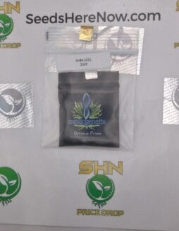 Optimus Prime (Regular) – Exotic Genetix | Vault Release