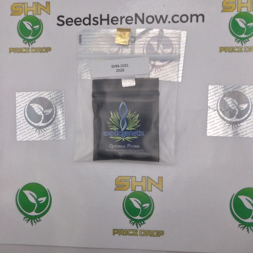 Optimus Prime (Regular) – Exotic Genetix | Vault Release