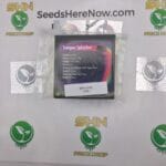 Tongue Splasher (Regular) – Exotic Genetix | Vault Release