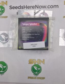 Tongue Splasher (Regular) – Exotic Genetix | Vault Release