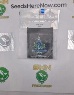 Flight (Regular) – Exotic Genetix | Vault Release