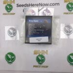 Krazy Runtz (Regular & Feminized) – Exotic Genetix | Vault Release